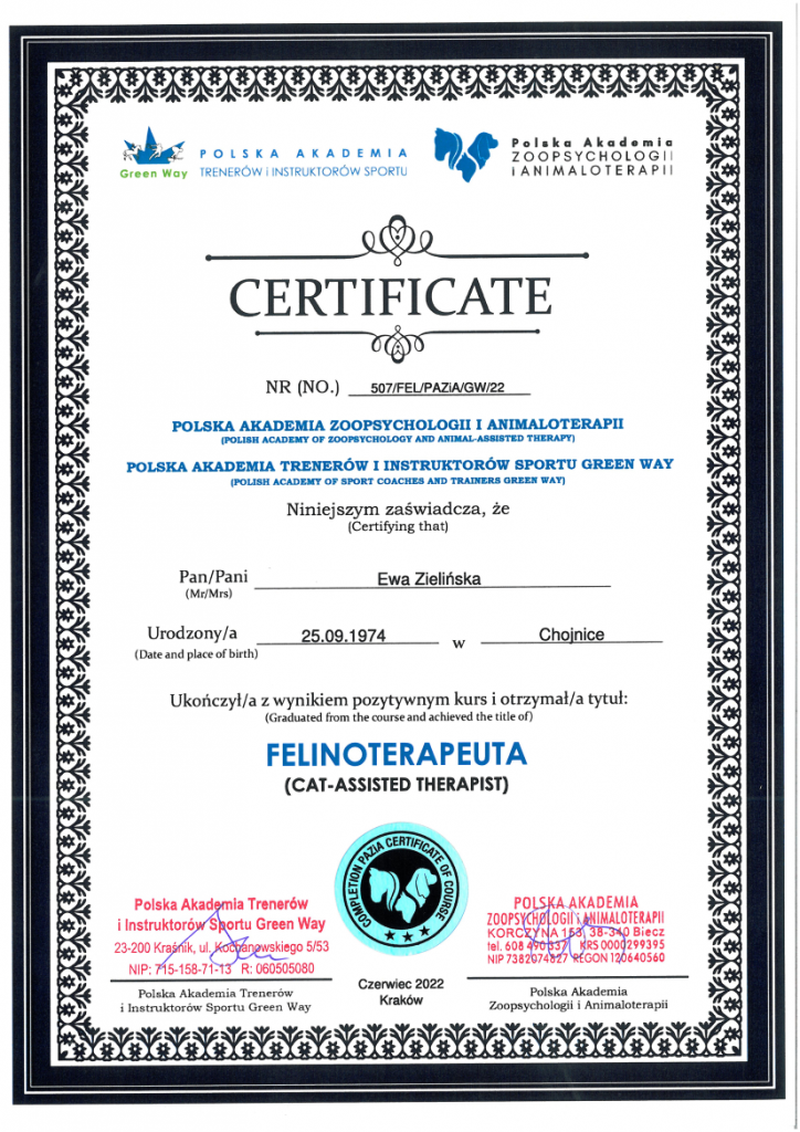 Certyfikat ukończenia kursu felinoterapeuty