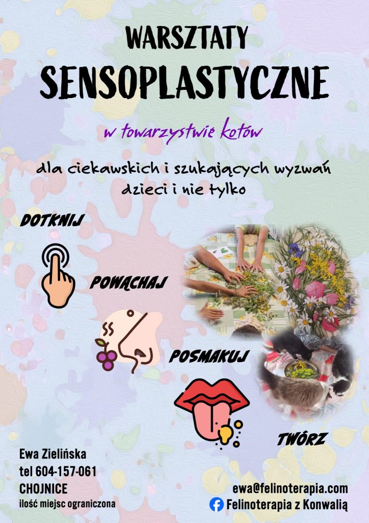 WARSZTATY SENSOPLASTYCZNE w towarzystwie kotów